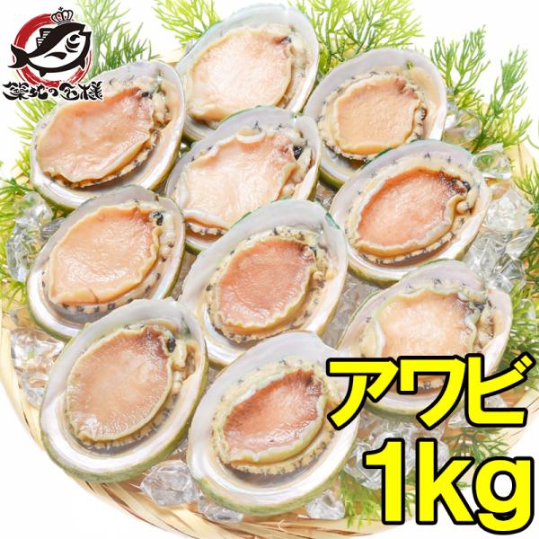 アワビ あわび Lサイズ 1kg 1箱12個入り(殻つきお刺身用アワビ アワビ あわび Lサイズ 1kg 1箱12個入り(殻つきお刺身用アワビ