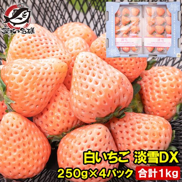 雪苺 Amazon.co.jp: まるごと苺 白雪いちごちゃん ホワイト