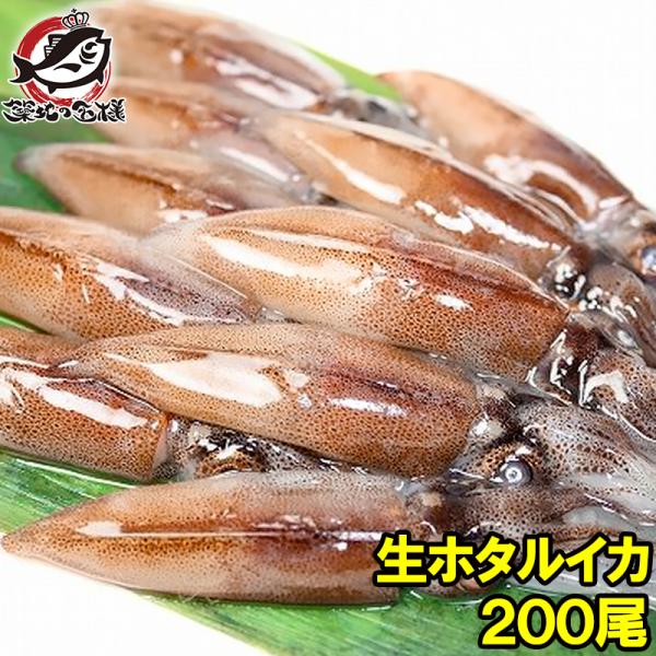 生 イカの人気商品 通販 価格比較 価格 Com