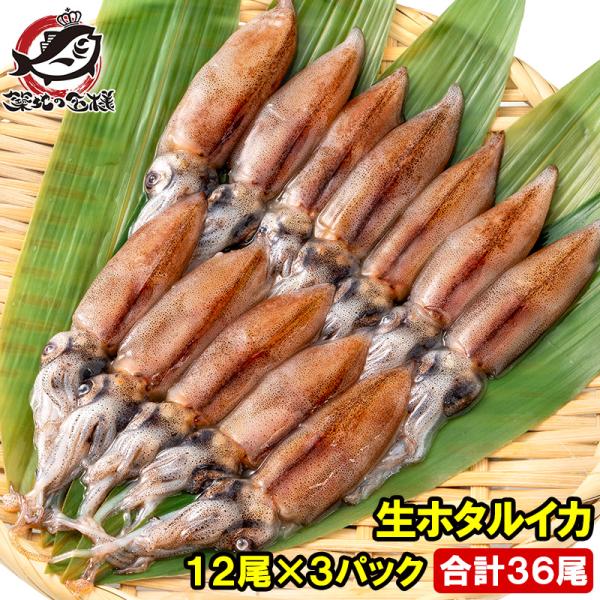 生 イカの人気商品 通販 価格比較 価格 Com