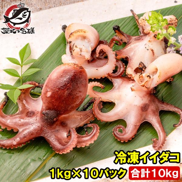 イイダコ いいだこ 業務用 10kg 1kg×10 タコ たこ 蛸 飯蛸 冷凍 バラ凍結 チュクミ ポックム 韓国料理  鍋 おでん 飯蛸 たこ飯 下処理済み 築地市場 豊洲市場