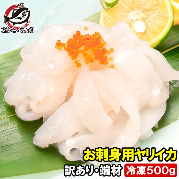 訳あり イカソーメン お刺身用 ヤリイカ 切り落とし 500g 端材 いかソーメン イカそうめん 素麺 やりいか いか イカ 烏賊 業務用 豊洲市場 ギフト