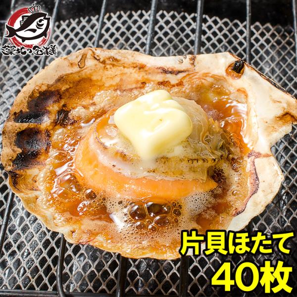 お中元 ホタテ ほたて 特大 片貝ほたて 40枚 10枚×4袋 殻付きほたて 帆立 貝 バター焼き 浜焼き バーベキュー BBQ 業務用
