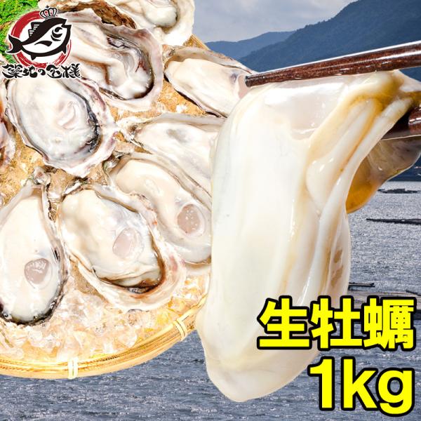 送料無料 生牡蠣 １ｋｇ（冷凍時１ｋｇ 解凍後８５０ｇ・冷凍むき身牡蠣・生食用）冷凍なのに生食可！瀬戸内海産のプリプリ生牡蠣を是非一度。【冷凍生牡蠣】【かき】【カキ】【牡蠣】【カキフライ】【商品説明】冷凍むき身かき（生食用）【原材料名】牡蠣...
