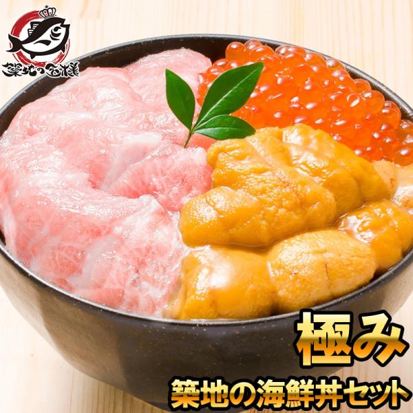 豪華版！ぜいたくマグロ丼セット（8~9人前）【ラクマ限定】 築地の海鮮丼セット 極み 約3〜4人前 本マグロ大トロ特盛り