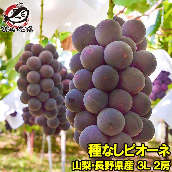 ピオーネ 山梨県 長野県産 種なし 1箱1.3kg前後 650g前後×2房 3L