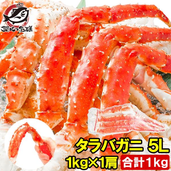 タラバガニ たらばがに 特大 極太 5L 1kg 足 脚 肩 セクション