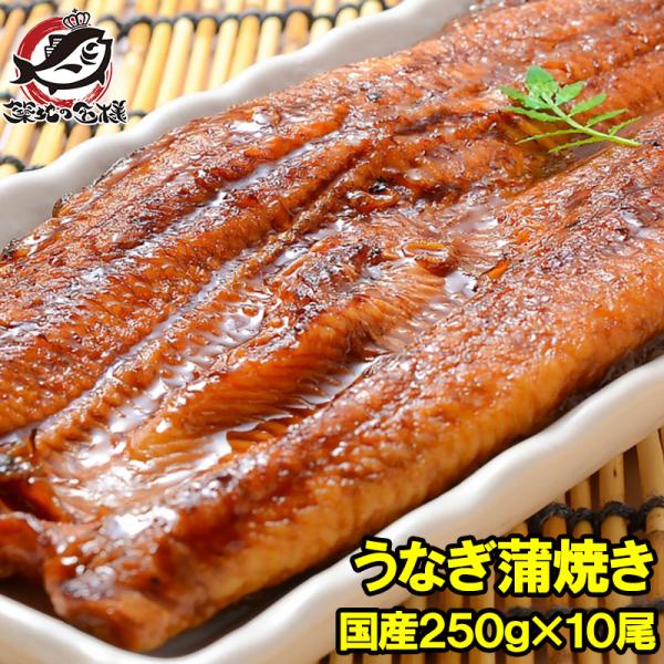 お中元 超特大 国産 うなぎ蒲焼き 平均250g前後×10尾 タレ付き うなぎ ウナギ 鰻 蒲焼き