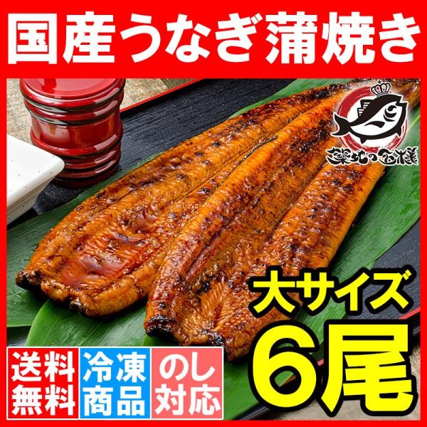 Y ȂĂ TCY 165gO×6 Ȃ EiM V Ă