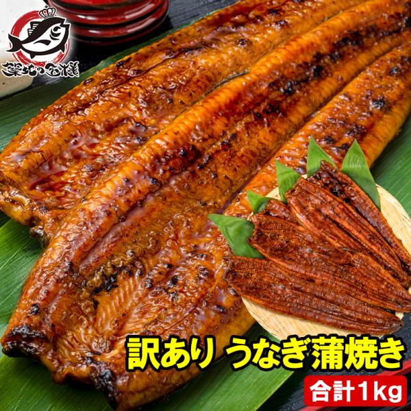 訳あり 国産うなぎ 蒲焼き 1kg サイズ不揃い 詰め合わせ 大容量 タレ付き うなぎ 鰻 蒲焼き 土用の丑の日 ギフト お取り寄せ 豊洲市場 父の日 お中元