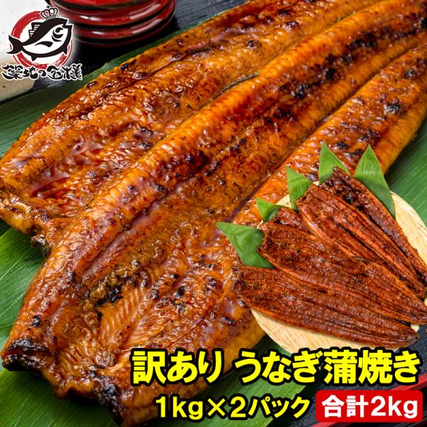 お中元 訳あり 国産うなぎ 蒲焼き 1kg×2パック 合計2kg サイズ不揃い 詰め合わせ 大容量 タレ付き うなぎ 鰻 土用の丑の日