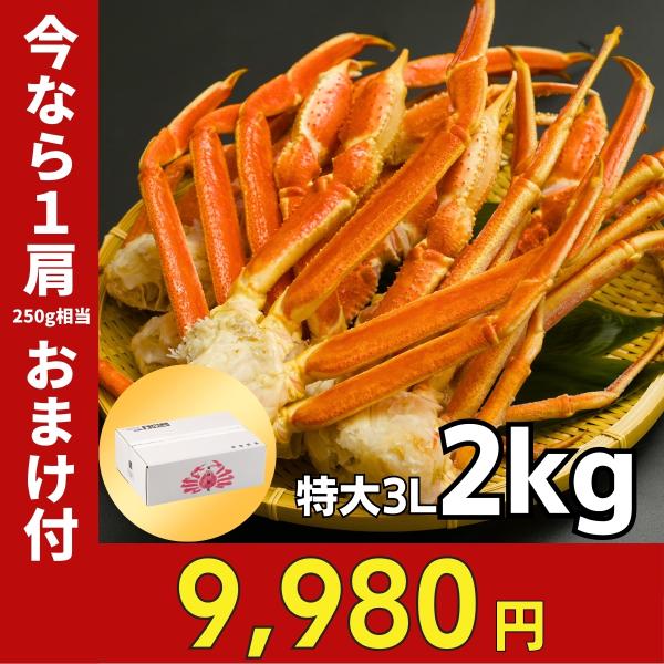 【14999円→8499円！】訳あり！特大！ずわいがに肩脚　5〜7肩前後入れ　（約1.8ｇ〜2ｋｇ分）　訳あり　足折れ・不足有り・大きさバラバラ 484：大型4L生ずわいがに肩脚 6～8肩（総重量約2.5kg）