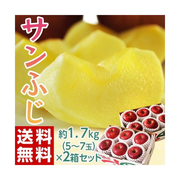 Tӂ 쌧 ܖY  2 v3.4kg i1 1.7kg 5`7ʁj Yn 퉷 JAÂ 