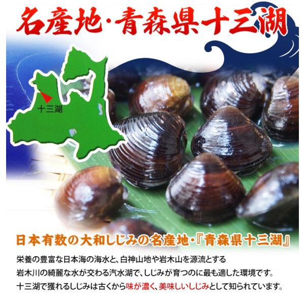 しじみ シジミ 蜆 青森県十三湖産 大和しじみ 約1キロ 冷凍同梱可能 Buyee Buyee Japanese Proxy Service Buy From Japan Bot Online