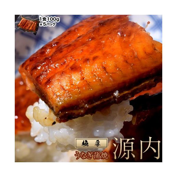 うなぎ蒲焼き 『源内』中国産・中国加工 業務用 100g×5食 タレ・山椒付属なし ※冷凍 送料無料