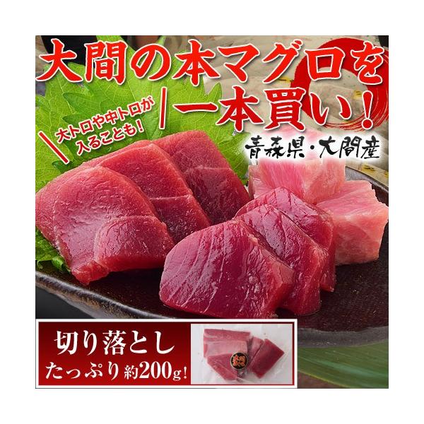 大間 マグロ 築地で鮪１本買い企画 青森県 大間の本マグロ 訳あり切り落とし0g 冷凍 Sea Morenotafurt Com