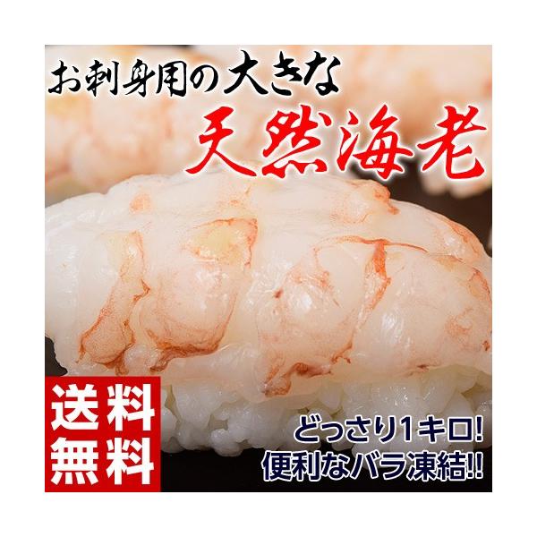 ≪送料無料≫特大の刺身用エビがどっさり！　ちょっと訳あり「おさしみ天然海老」　1kg　※冷凍　sea　☆