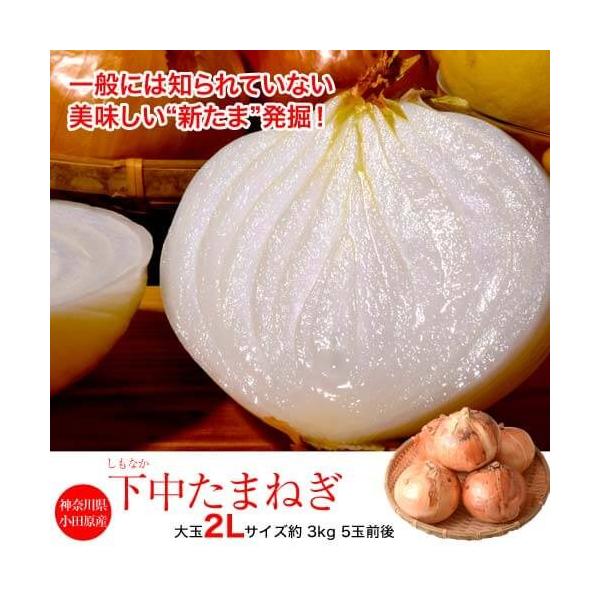 画像の説明