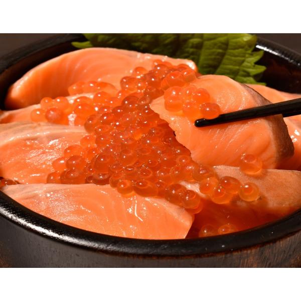 サーモン イクラセット お刺身サーモントラウト ブロック1本約300g 鮭イクラ醤油 250g シャケ 鮭 いくら 魚卵 刺身 ギフト 冷凍 送料無料 Blog Multacom Com