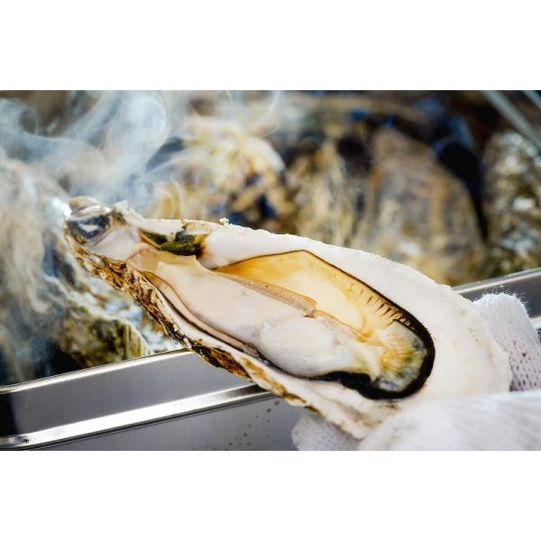 OYỹJJĂ@1.5kgi15Oj Ⓚ