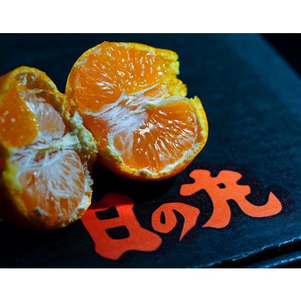 ̊ۂ݂ QY 2S`M v5kgi2.5kg×2jYn ܍ 퉷 JAɂ@