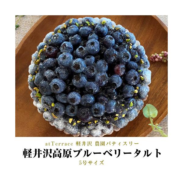 atTerrace 軽井沢 『軽井沢高原ブルーベリータルト』 1個 5号サイズ ※冷凍 送料無料　ブルーベリー　タルト　フルーツタルト
