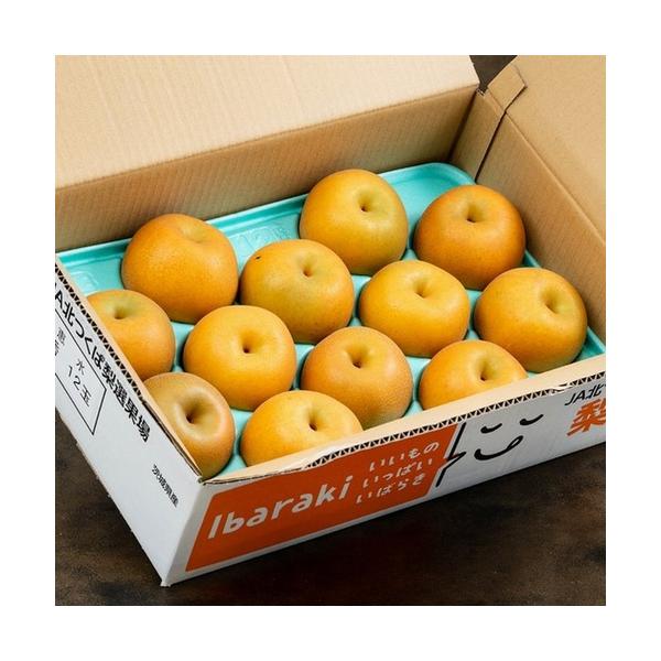 大玉 恵水梨 茨城県産 秀品 約5kg（8〜12玉）産地箱 ※冷蔵 送料無料