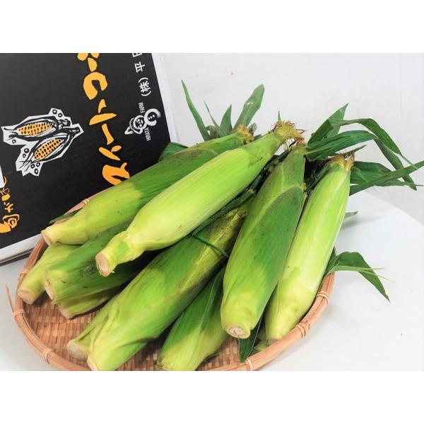プレミアム味来 北海道産 平田農場のとうもろこし 10本入 （1本約350g）計約3.5kg ※冷蔵 産地直送 送料無料