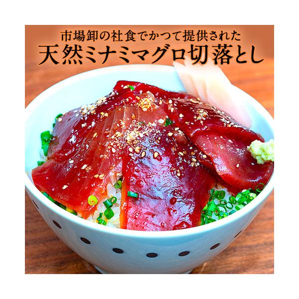 築地市場の卸の社食「ミナミマグロ　切り落とし」　約250g×5パック　※冷凍 送料無料