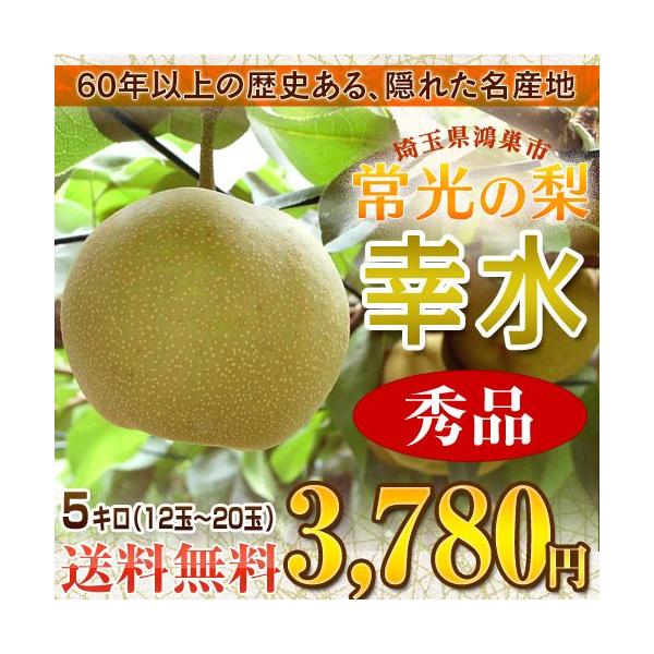 今期初物の梨！【上物・秀品】 埼玉産 常光の梨 幸水梨 秀品14〜20玉 約5キロ 《送料無料》