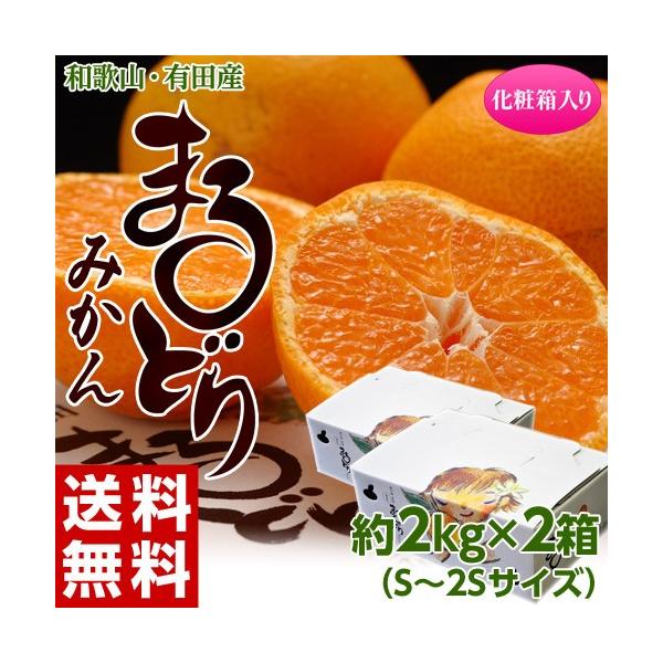 《送料無料》和歌山産「まるどりみかん」化粧箱 Ｓ〜2Ｓ 約2キロ×2箱 frt ☆