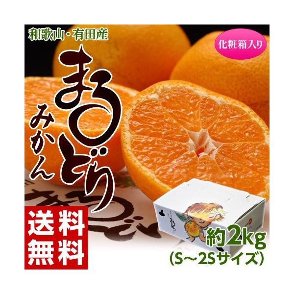 《送料無料》和歌山産 まるどりみかん 化粧箱 Ｓ〜2Ｓ 約2キロ frt ☆