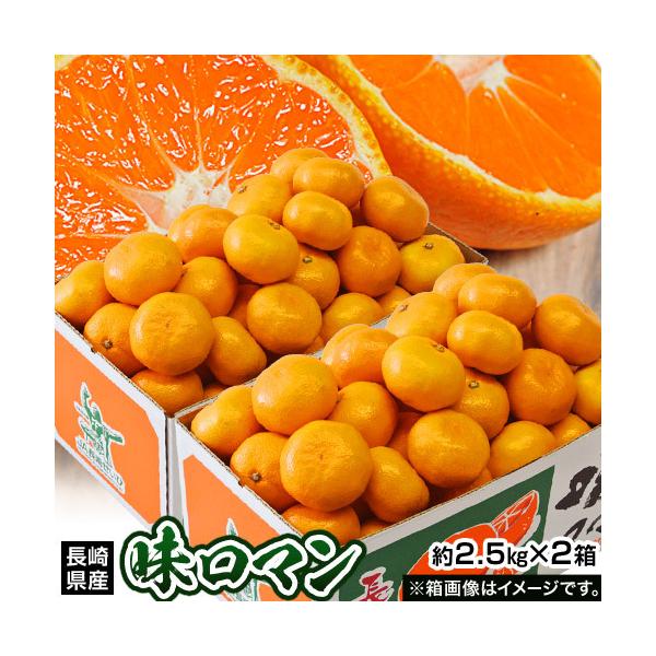 yx12xIʁz ɊÂ݂ } JA肹 2.5kg×2 Oɏ (2S`MTCYj퉷@