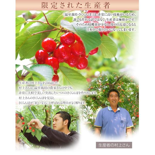 ファッションの の佐藤錦 フルーツ 超大粒 ギフト 40粒 食品 送料無料 母の日 山形県産 カーネーション 造花 メッセージカード付き 送料無料 木箱 ２l 約300g さくらんぼ 3a 豊洲市場ドットコムヤフー店