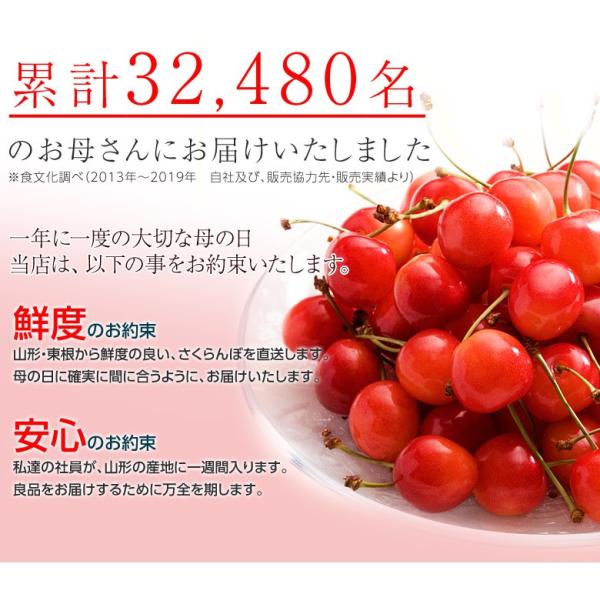 母の日 ギフト さくらんぼ 佐藤錦 山形県産 超大粒 ２l 木箱 40粒 約300g カーネーション 造花 メッセージカード付き 送料無料 Buyee Buyee Japanese Proxy Service Buy From Japan Bot Online