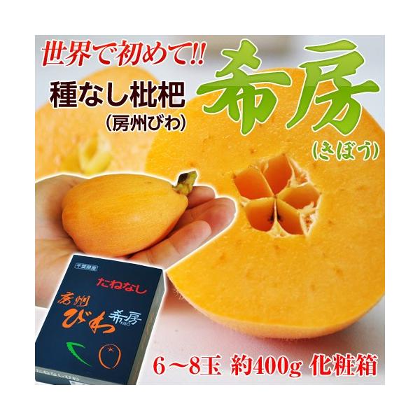 千葉県産 種なしびわ 希房 6 8玉 約400g 冷蔵 Frt 3a 豊洲からの直送便 ヤフー店 通販 Yahoo ショッピング
