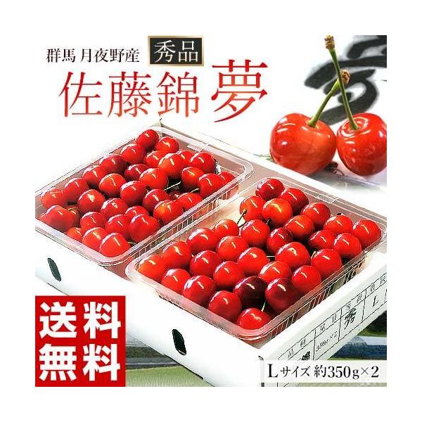 高原で育つ 佐藤錦 「夢」 群馬県月夜野産 さくらんぼ 秀品 L 計約700g（約350g×2パック）化粧箱 ※冷蔵 送料無料