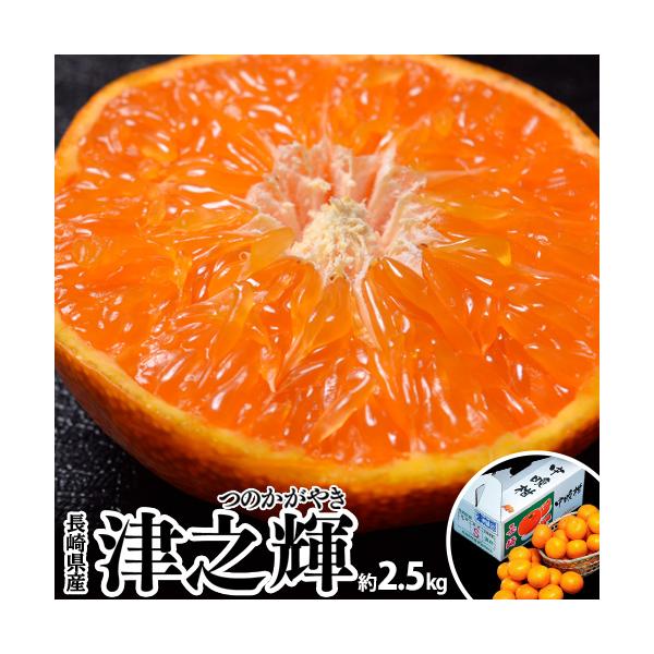 津之輝 （つのかがやき） 長崎県産柑橘 2S〜L 約2.5kg 産地箱 ※常温 JA