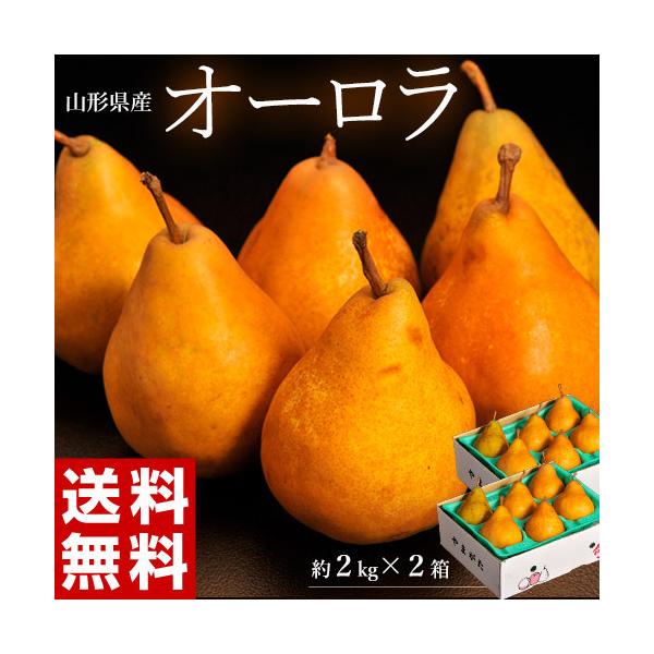 洋梨 洋なし 洋ナシ 梨 なし ナシ オーロラ 山形県産 約2kg 2箱 1箱 6 10玉入 送料無料 3a 豊洲市場ドットコムヤフー店 通販 Yahoo ショッピング