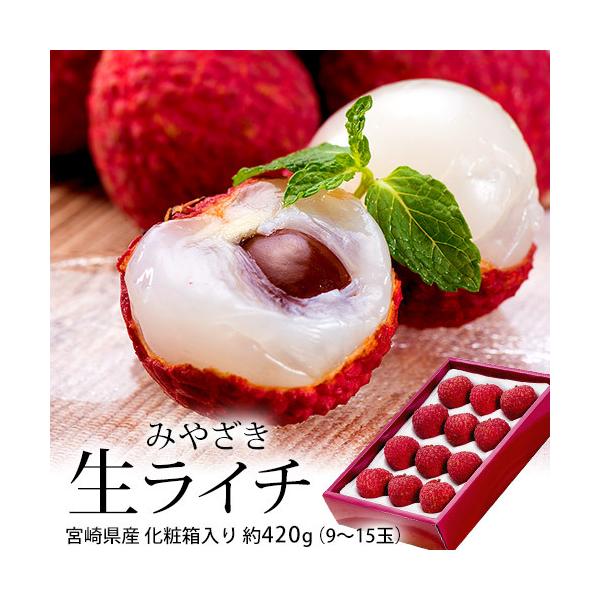 みやざき生ライチ 宮崎県産 約420g（9〜15玉）化粧箱 ※冷蔵 送料