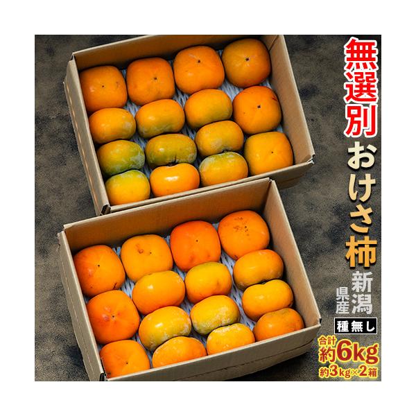 早期割引 種無し おけさ柿 無選別品 スレ・傷あり 新潟県産 約3kg×2箱 (1箱：目安として13〜21玉) 簡易箱 ※常温 送料無料 柿