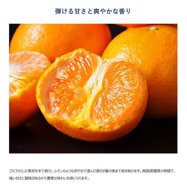 愛知県 蒲郡産 なつみ 南津海 秀品 約2 5kg S Lサイズ 目安16 27玉 簡易包装 常温 送料無料 Buyee Buyee 日本の通販商品 オークションの代理入札 代理購入