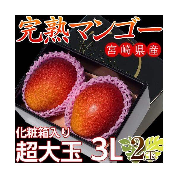 ギフト 贈答 贈り物 マンゴー 宮崎県産 超大玉 マンゴー 3L × ×2玉(1玉:450〜509g) 化粧箱入 常温 送料無料
