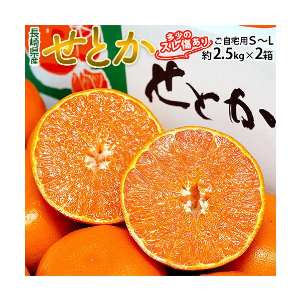せとか 長崎県産柑橘 S〜M 約2.5kg×2箱 多少のスレ傷あり 産地箱 ※常温