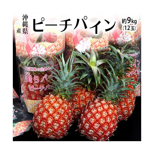 毎年ご好評のピーチパインです。品種名はソフトタッチ。1999年に登録された品種で、国産パインアップル（パイナップル）の中でもスナックパインに並ぶ走りのパインアップルです。一般的なパインアップルとは違い、果肉は乳白色。ミルクパインとも呼ばれま...