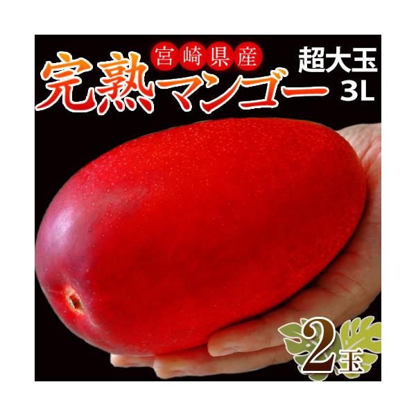 超大玉3L みやざき完熟マンゴー 宮崎県産 2玉（1玉:約450g）簡易箱 ※常温