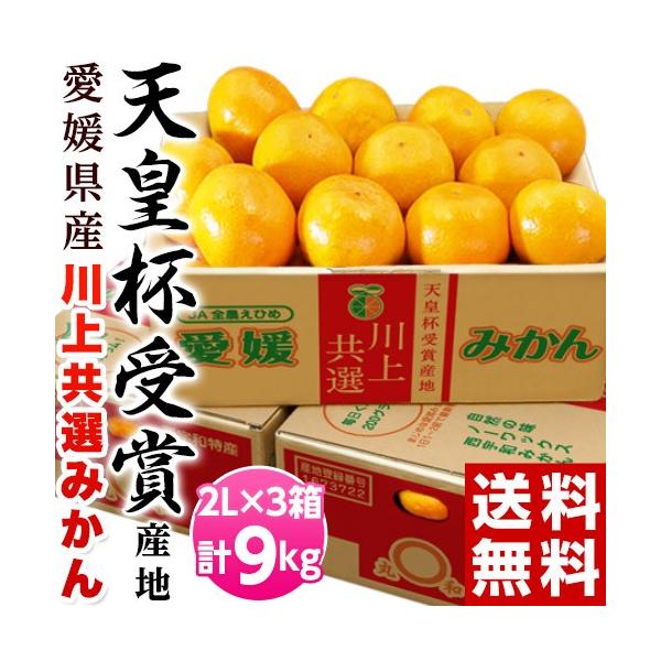 yVct܎YnzJAɂ Q FaY ݂ 2LTCY 3kg×3 Yn  Mtg Ε ݂@