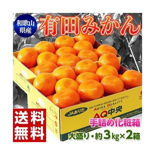 l Lc݂ QkTCY 3kg×QivUkgjJA肾 `pI a̎RY 퉷 