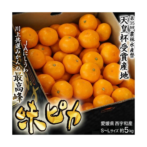 天皇杯受賞産地 糖度12度選別 川上みかん 味ピカ 愛媛県産 JAにしうわ