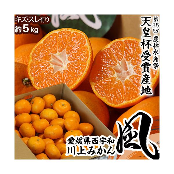 yVct܎Ynz݂ QY ㋤I JAɂ 󂠂 S`LTCY 5kg ܍ 퉷 